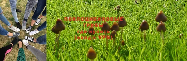 хмурый Вяземский