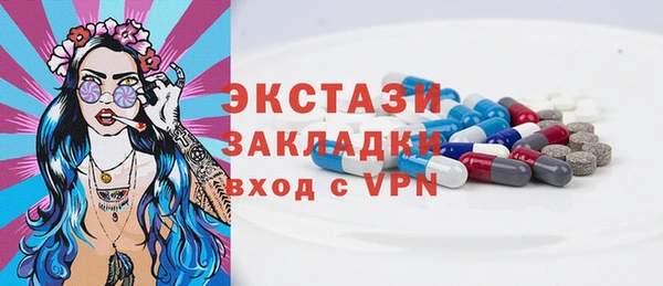 хмурый Тайга