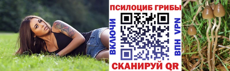 Галлюциногенные грибы Psilocybe  Осинники 
