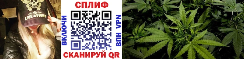Каннабис White Widow  купить закладку  Осинники 